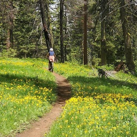Mccall Mountain Getaway - Pet Friendly ภายนอก รูปภาพ