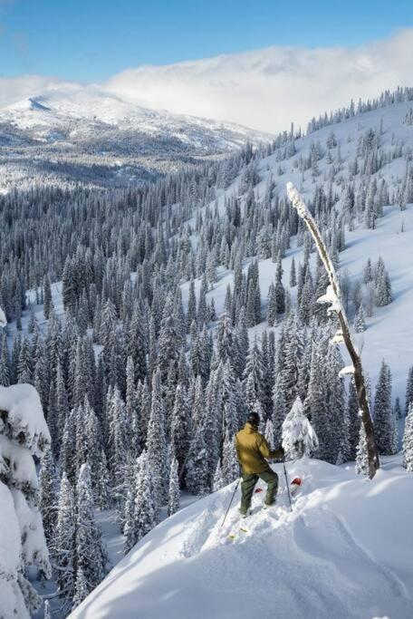 Mccall Mountain Getaway - Pet Friendly ภายนอก รูปภาพ